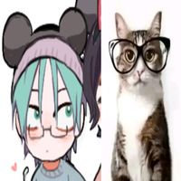 paancakesiiy