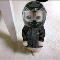 andi593._bro