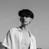 ดาวหางฮัลเลย์