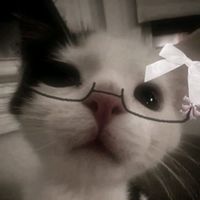 ianferv.edits345