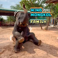 original sound - mingmongkolfamily