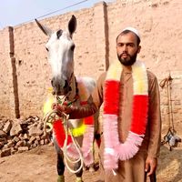 mashkoorkhan139