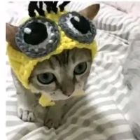 p_phaseeeeeeeeeeeeeeeeee