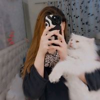 frizzgrileo