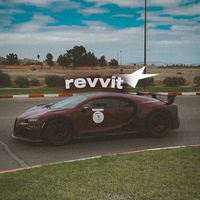 revvit__
