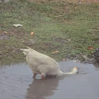 时光倒流