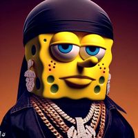 meedsponge