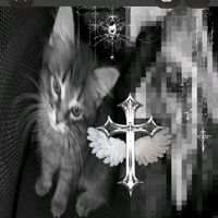 myy__dary