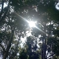 suara asli - buRien