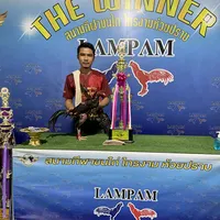 original sound - beerbayinnaungfarm.0