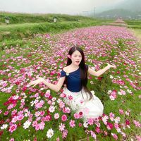 lequyen.07