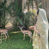 الصوت الأصلي