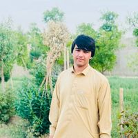 nawroz510