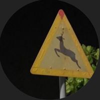 الجمال الي يقولون