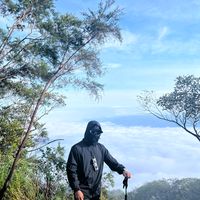 muhdhanisss