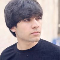 hamed_parwani