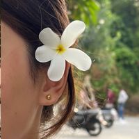 sisam_k