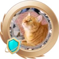 rabbit3609