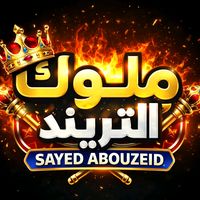 sayed.abouzeid66