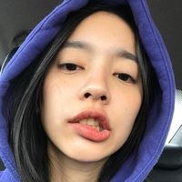 pamisdinosaur