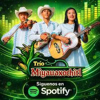 sonido original - Miyauaxochitl