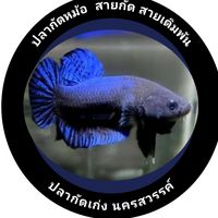 เสียงต้นฉบับ - อะไร' ก็น๊อต