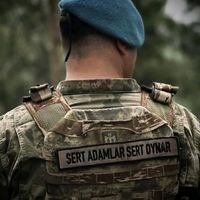 orijinal ses