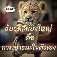 m3vov6
