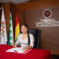 amalia.laura.villca