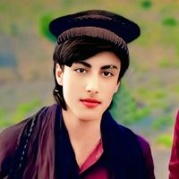 thalibjan6