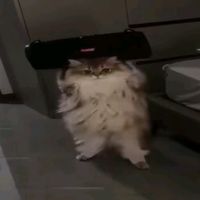 maxedy_stuff2