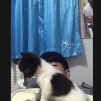 เสียงต้นฉบับ - อัยยาเติ้น