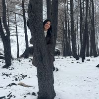 feitadeviagens