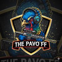 the.pavo_yt