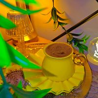 ayse_sy2