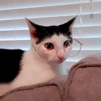 original sound - Ali🪷