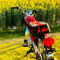 sitamgar684king