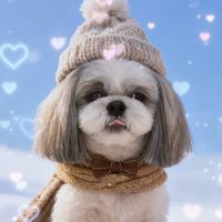 オリジナル楽曲 - ロン君ちゃんねる