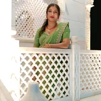 original sound - usha8570