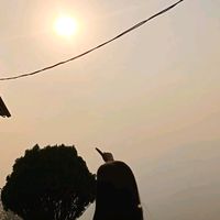 sabitraghartimagar1