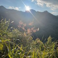 nhạc nền - nkaujhmobly