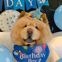 kurizo_chow