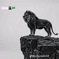 rizwanedits111