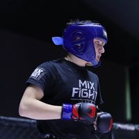 grigoryan_.mma