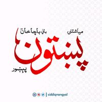ameerjaan251