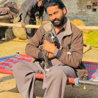 waqasbajwa108