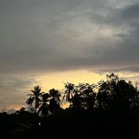 เสียงต้นฉบับ - النجمي.