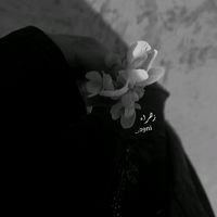 الصوت الأصلي - ࢪِ࣪هَࢪاެء.