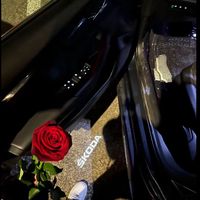 taleen_553
