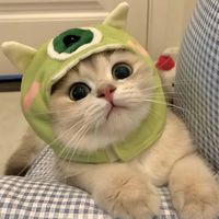 nhạc nền - YếnVi